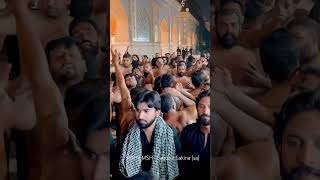 Saqqa e Sakina (as) | MSH | PDH #karbala2024 #najaf #matam