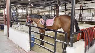 Ryan’s First Horse Ride