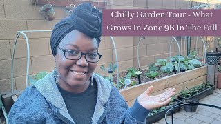 Chilly Garden Tour - What Grows In Zone 9B In The Fall