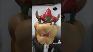 bowser filter