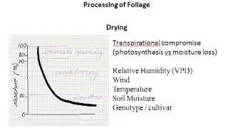 Aronomy 1 ALM110 Lecture 6 part4