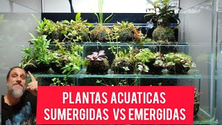 Plantas acuáticas sumergidas vs emergidas