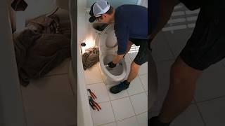 Quick toilet replacement 🚽💦 #plumbing #plumber  #shortsvideo