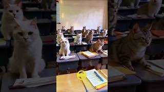 Good Morning, It's Time for School #shorts #pets #animals #cat #catschool