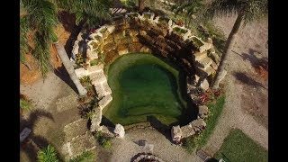 Big pond update new fish/feeding both of my fish ponds