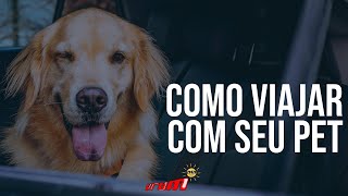 TRANSPORTE DE PET: COMO LEVAR ANIMAL NO CARRO COM SEGURANÇA E CONFORTO