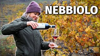 Wine Grapes 101: NEBBIOLO (the Grape Behind Barolo & Barbaresco)