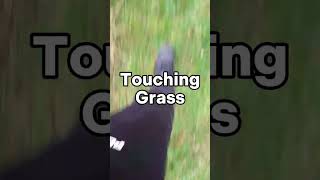 TOUCHING GRASS PART 330/365 #touchinggrass