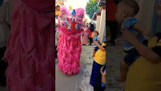 Barongsai karnaval budaya hibur warga kampung #shortvideo