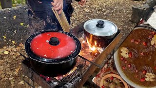 Fesanjan stew, a stew made with ice.The most delicious stew made with walnuts#food # asmar#love #fun