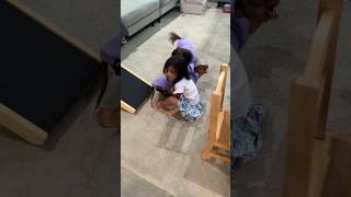 2-on-1 Handicap Wrestling Match: The Hooded Purple Weenies vs Mishti #cutebaby #dachshund