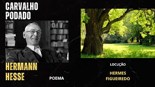 Poesia "Carvalho Podado" [Hermann Hesse]