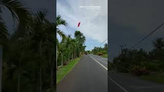 Desa Dasri, Kecamatan Tegalsari, Kabupaten Banyuwangi