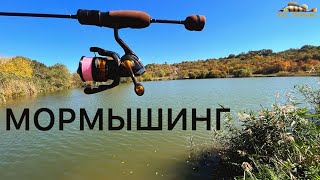 МОРМЫШИНГ - ЛЮБАЯ РЫБА НА СПИННИНГ