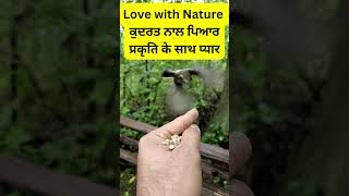 Love with Nature || ਕੁਦਰਤ ਨਾਲ ਪਿਆਰ || प्रकृति के साथ प्यार || Modern Kheti