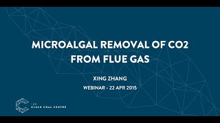 Microalgal removal of CO2 from flue gas | IEACCC Webinars