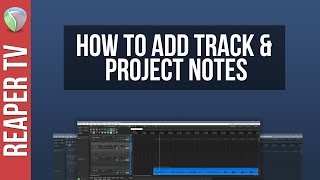 How to add Project and Track Notes in Reaper DAW