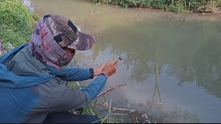 MANCING UDANG SUNGAI.! tarikannya bikin candu..!!#@AceSober-mk4bt