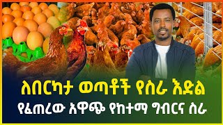 ለበርካታ ወጣቶች የስራ እድል የፈጠረው አዋጭ የሆነ የከተማ ግብርና ስራ ! የዶሮ እርባታ | chicken farming | small business |Gebeya