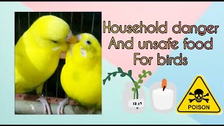 HOUSEHOLD DANGER AND UNSAFE FOODS FOR BIRDS🦜⚠️