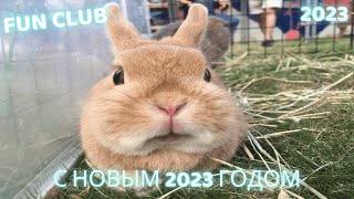 ✅ПРИКОЛЫ 2023 / ЗИМНИЕ ПРИКОЛЫ /626 СЕКУНД СМЕХА /НОВЫЕ ПРИКОЛЫ 2023 / ПРИКОЛЫ С ЖИВОТНЫМИ / ТИКТОК✅