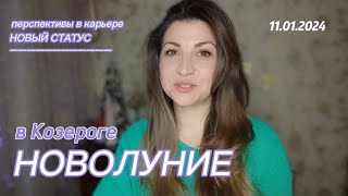 🌙НОВОЛУНИЕ в КОЗЕРОГЕ. Реализуем цели. Для всех знаков 🔥 Vera Astrolog