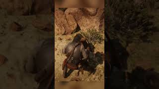 Do NPCs in RDR2 React Realistically