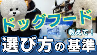 【犬のしつけ】ドッグフードを選び基準を教えて【悩み相談ライブ切り抜き】