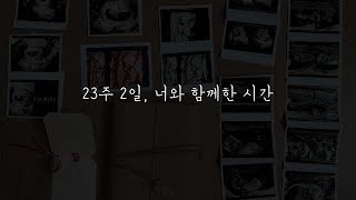 범비야 안녕, 다시 만나자