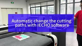 Automatic change the cutting paths with IECHO software