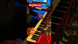 Short improvisation with „All Blues“ chords as 4/4. #nordkeyboards #milesdavis #franzkreimerkeys