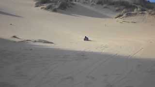 SandBoard the Dragon6