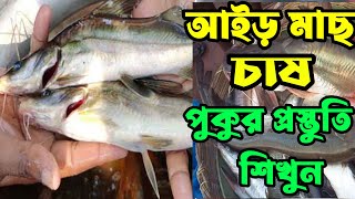 আইড় মাছের পোনা উন্নাত মানের পোনা তাঁরা বাইম মাছ চাষ পদ্ধতি ও পুকুর প্রস্তুতি আইড় মাছ কিনুন কমদামে