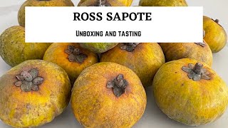 Ross Sapote Unboxing Tropical fruit from Lara Farms