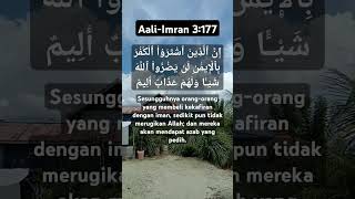 Aali-Imran 3:177