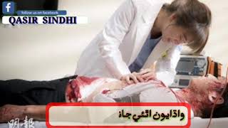 Sindhi Sad Whatsap Status Video