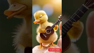 CUTE DUCK MUSICIAN VIDEOS? Watch This Now!