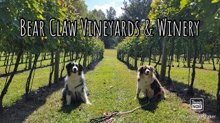 Bear Claw Vineyards & Winery