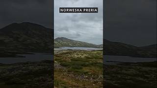 Kierujemy się na południe. Wąwóz Mågålaupet i Norweska Preria. #campertrip #norway #travel