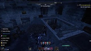 ESO - IC - When getting used to Essence Thief makes you look more incompetent than you are.