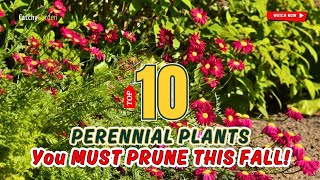 Top 10 Perennial Plants You MUST PRUNE THIS FALL! 🍂🌼🍁 // gardening Ideas