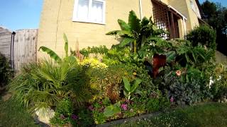 2 minute tour of the front garden July 2013