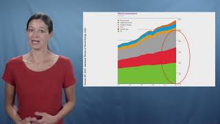 global environmental challenges