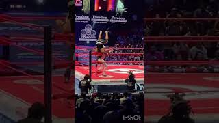 Stigma, Arkalis y Pegasso vs Difunto, Felino Jr. y Coyote