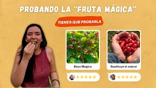 Probando la FRUTA MILAGROSA, sustituye el azúcar 😱 | Flor Soñada #short