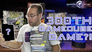 Got My 300th GameCube GAME at this RAD Event | GameCube Galaxy