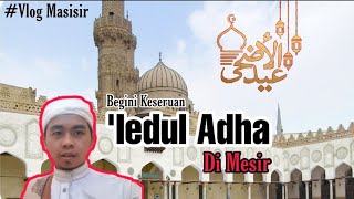 Begini Keseruan IDUL ADHA di Mesir | DAILY VLOG MASISIR