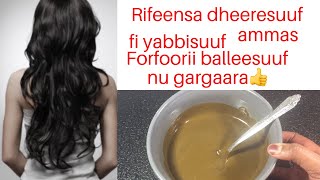 Hinnaan rifeensa haphii yabbisuuf,dheeresufi jajabeesuf ammas forfoori ballesuuf 💯nu gargaara