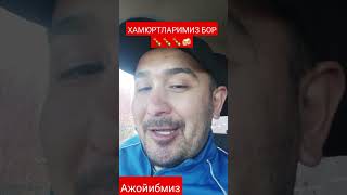 Халол овкат олиб яримта ичадиган айрим мусофирлар 🇺🇿🇺🇿🇺🇿 #узбекистан #москва #ташкент  #мигранты