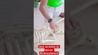 Jetzt verstehst du deinen Rückenschmerz! #shorts